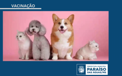 Imagem da notícia Prefeitura de Paraíso das Águas inicia Campanha de Vacinação Antirrábica em cães e gatos